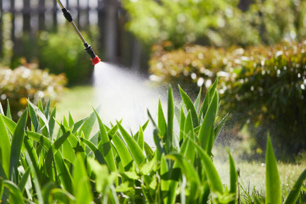 24/7 Emergency Fumigation Services experts in West End-Cobb Town, AL